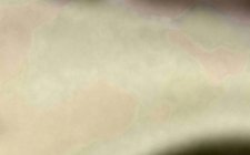 S-Класс AMG 63 AMG III